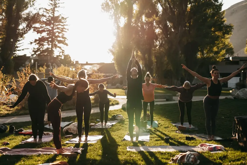Cómo Elegir la Clase de Yoga Ideal para Ti